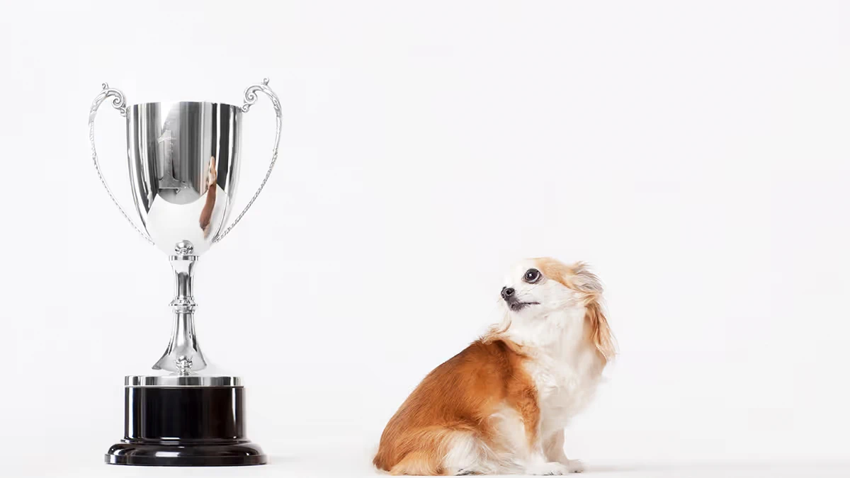 Zabluda ʺprvo uspeh, pa srećaʺ